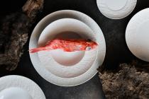 Hotelporzellan-Serie "Vita-White"