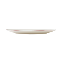 Flat plate “Concorde Maroon”