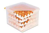 Transport Vontainer for Egg Tray