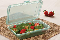 Food Container To-Go "Eco-Takeouts"