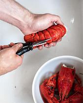 Seafood Scissors "Lobster & Co"