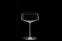 Champagnerschale "Leandros"