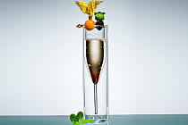 Tumbler "BLOOMIX DOUBLEWALLED GLASS"