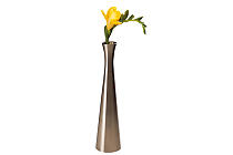 Vase "ROSE"