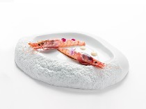 Płyta do prezentacji "Geo-Roca V0122"