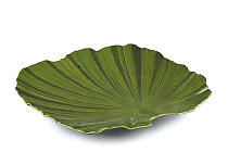 Büfétál "Palme"