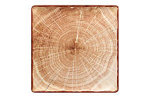 Plate flat "WOODART"